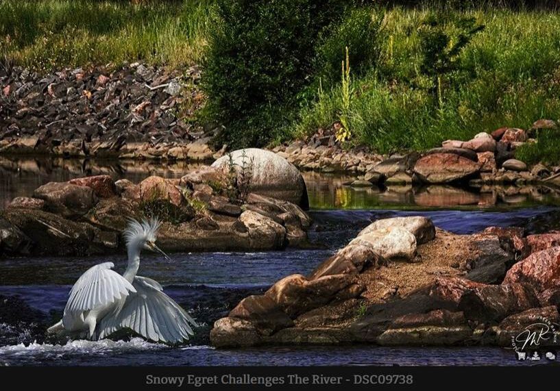 Photo by Maureen Ravnik